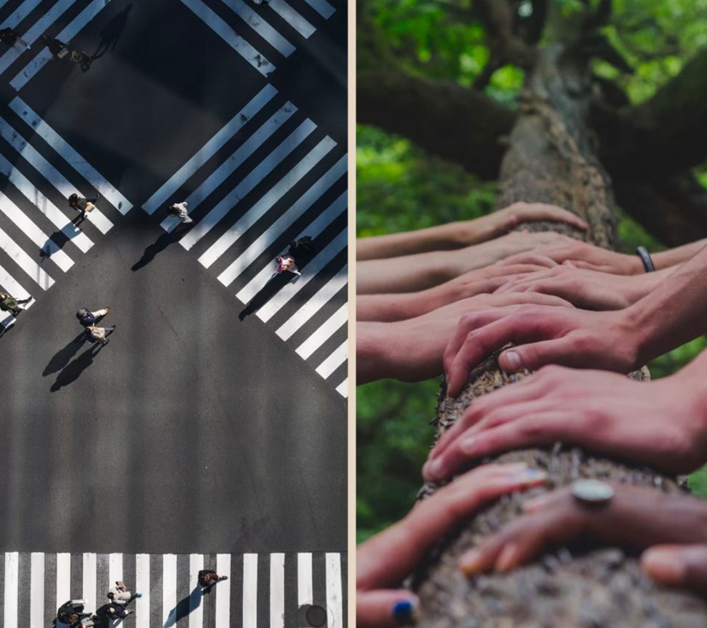 Tvådelad bild, den ena bilden uppifrån på människor som går på övergångsställe. Den andra bilden är tagen nedifrån ett träd upp på stammen och trädkronan, och händer som håller på trädstammen.