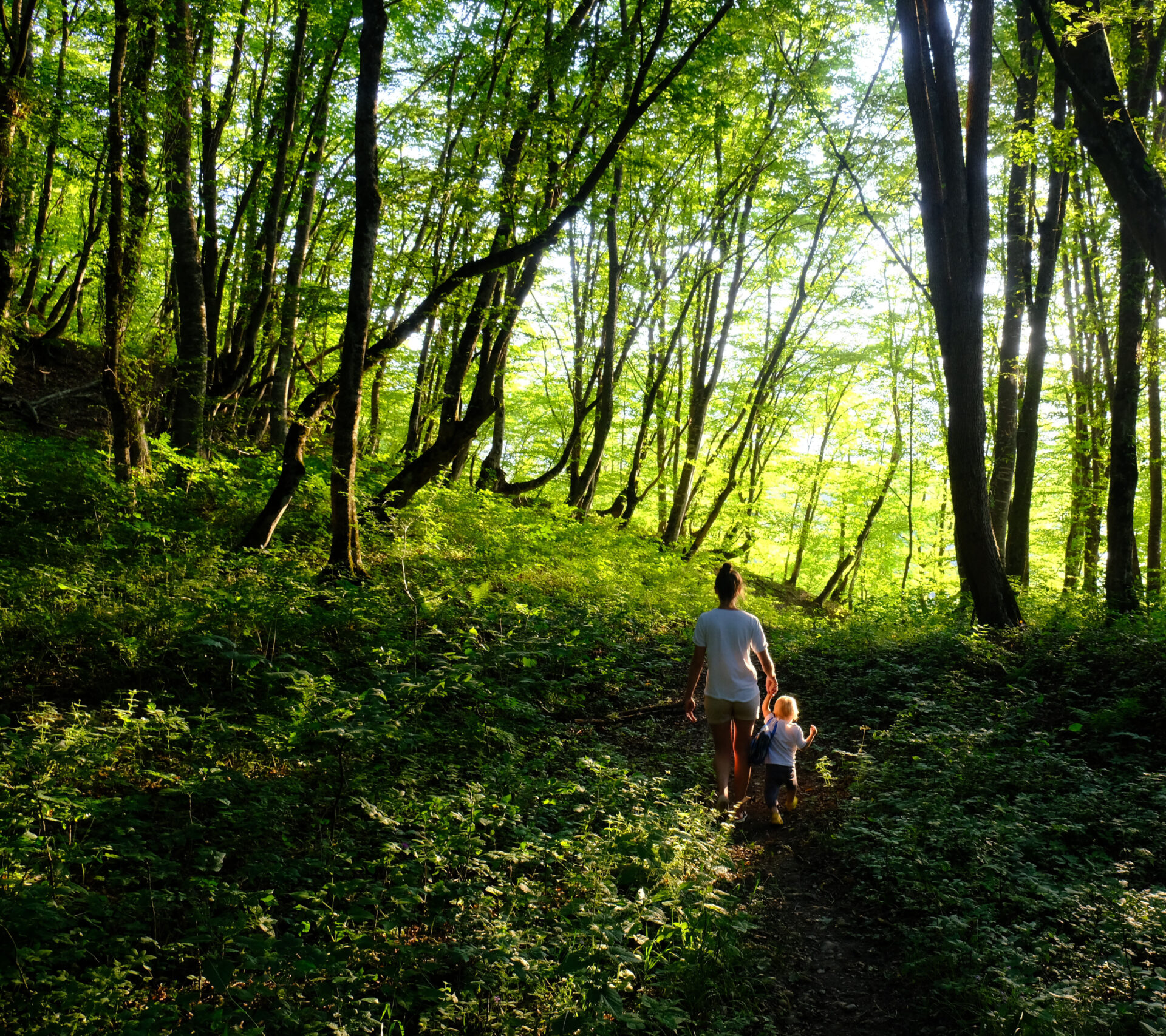 En vuxen och ett barn går på en stig i en grönskande skog.